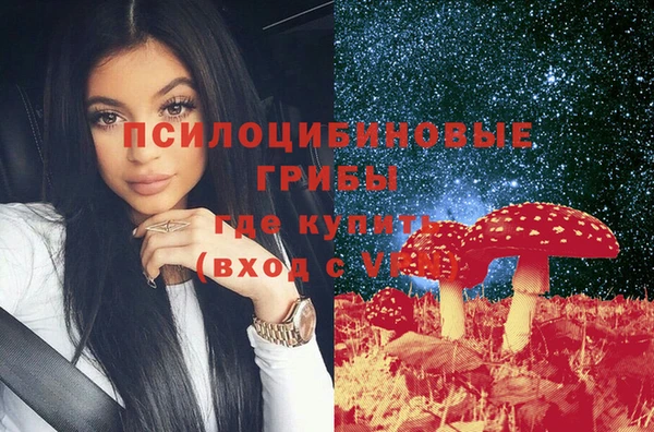 спайс Арсеньев